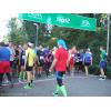 036--Dieter-Meinecke-Lauf 2015.jpg